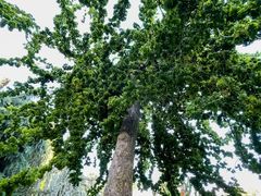 -维乐口腔医院(福清院)