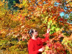 -丹东天桥沟景区