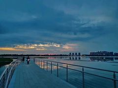 -溱湖国家湿地公园