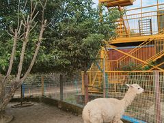 -武汉紫薇都市田园