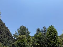 -沣峪口
