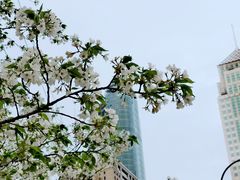 -西北湖绿化广场