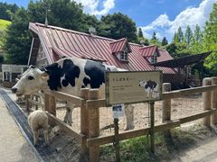 -神户市立六甲山牧场