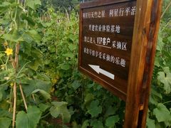 -意大利农场度假村