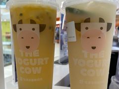 -一只酸奶牛(汕头金平万达广场店)