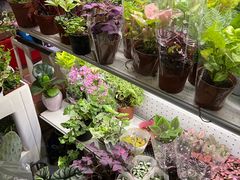 -朝来春花卉市场