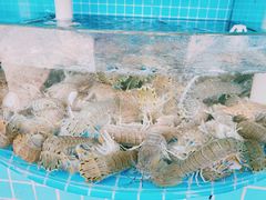 -聚贤莊