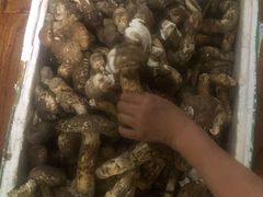 -南渝食府.石锅鸡(尚城花园店)