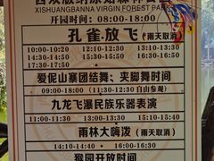 -西双版纳原始森林公园