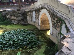 -皇家御河游(紫御湾码头)