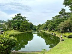 -长洲岛