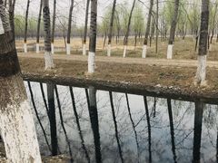 -东郊湿地公园
