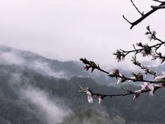 -石潭村