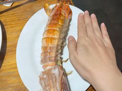 濑尿虾-凯华海鲜火锅·传承三十六年