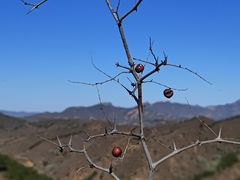 -蟠龙山长城景区