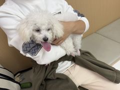 -瑞派康怡24h宠物医院·犬猫医疗中心·微创绝育(瑞景分院)