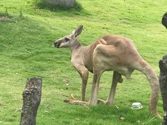 -泉州海丝野生动物世界