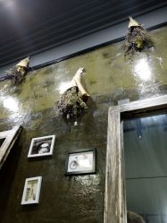 -M3 Hair Studio