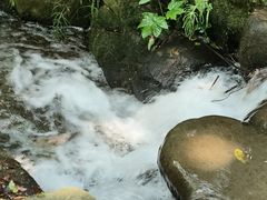 -中国茶叶博物馆(双峰馆区)