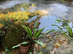 -西湖公园(鼓楼区)