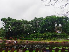 -广州长隆飞鸟乐园