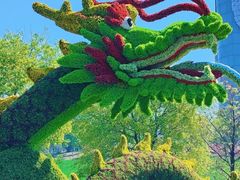 -沈阳植物园