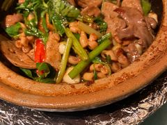 荆芥啫猪杂-煲煲好(朝阳门店)