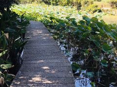 -姐妹面馆(水澄路店)