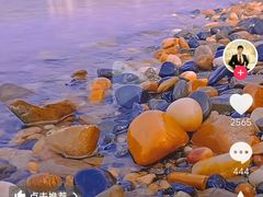 -丹水桥地锅鱼·翘嘴鲌·地方特色全鱼宴(丹江口大坝店)