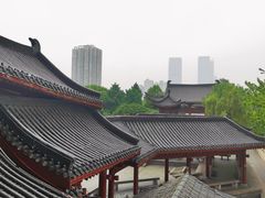 -杜甫江阁