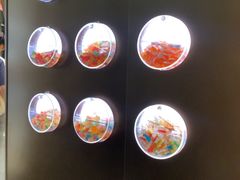 -一绪に和牛寿喜烧(罗湖益田假日店)