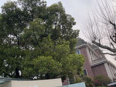 -上海瑞金洲际酒店