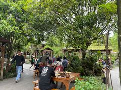 -青城甲(青城山店)