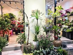 -溪岸路花鸟市场