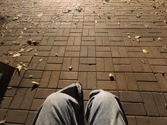 -吉林市朱雀山国家森林公园