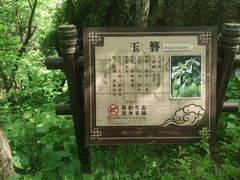 -神农架景区