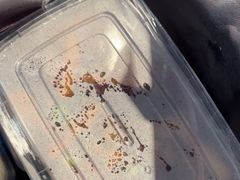 -街小坐闽南小牌档(新元店)
