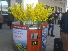 -婺源站