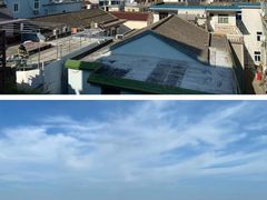 -枸杞岛