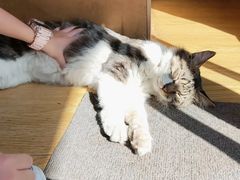 -METAL HANDS(五道营店)