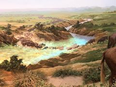 -陕西自然博物馆