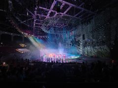 -灵玲国际马戏城