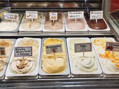 -Dooley's Premium Ice Cream