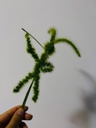 -归位瑜伽＆普拉提馆