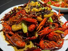 -京悦南门涮羊肉·羊蝎子火锅(田林路店)