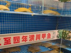 -西郊竹园甲鱼面(老一中店)