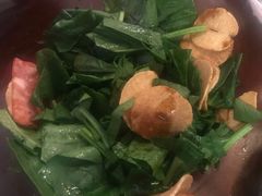 -樱の花亭日本料理店