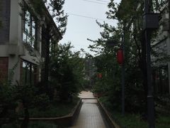 -老幺泉水鸡