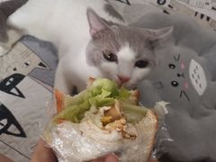 -美联众合24小时·皮肤科·外科·全科诊疗中心(华苑分院)