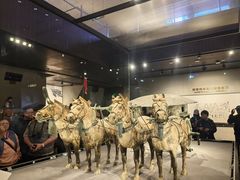 -秦始皇帝陵博物院-丽山园